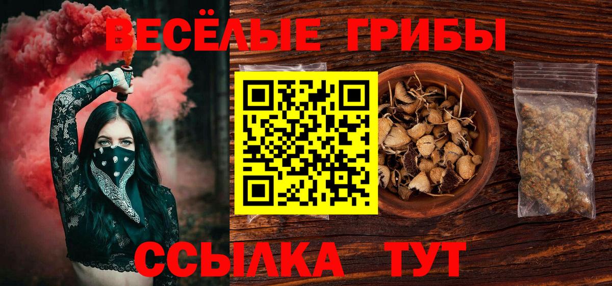Псилоцибиновые грибы Magic Shrooms Шебекино