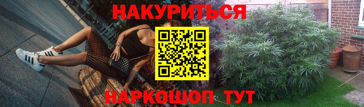 Бошки Шишки семена Шебекино